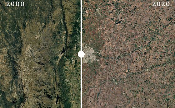 Unearthing Argentina's Tree Condor: An Aerial Art Phenomenon